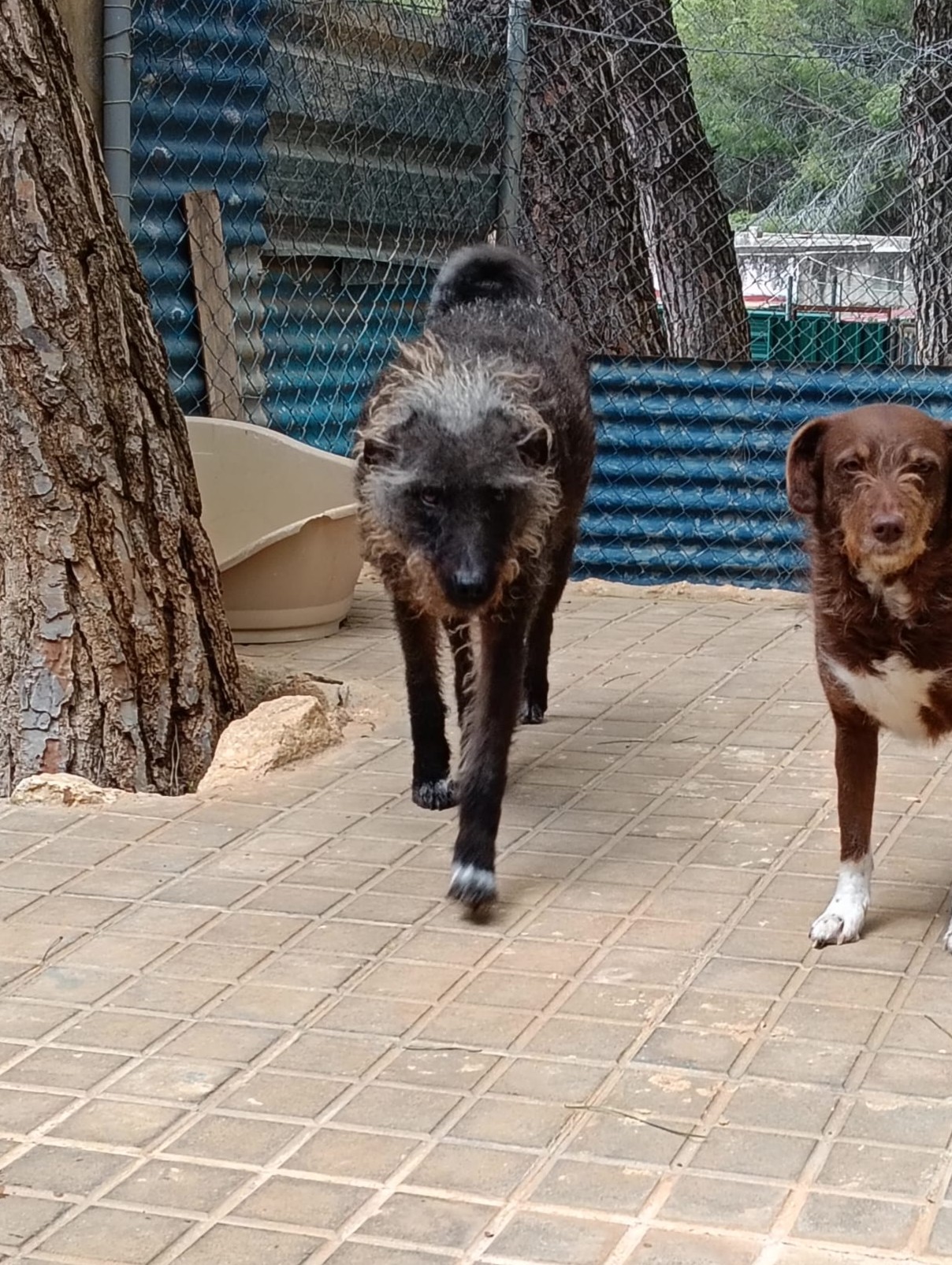 Miniatuur van Marcilla