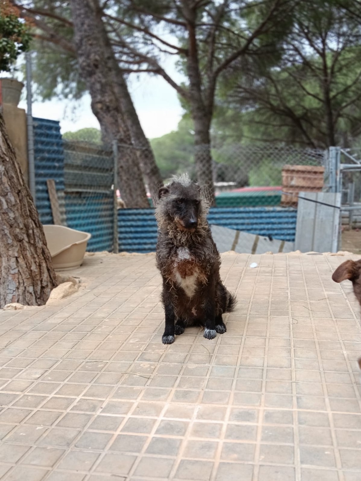 Miniatuur van Marcilla