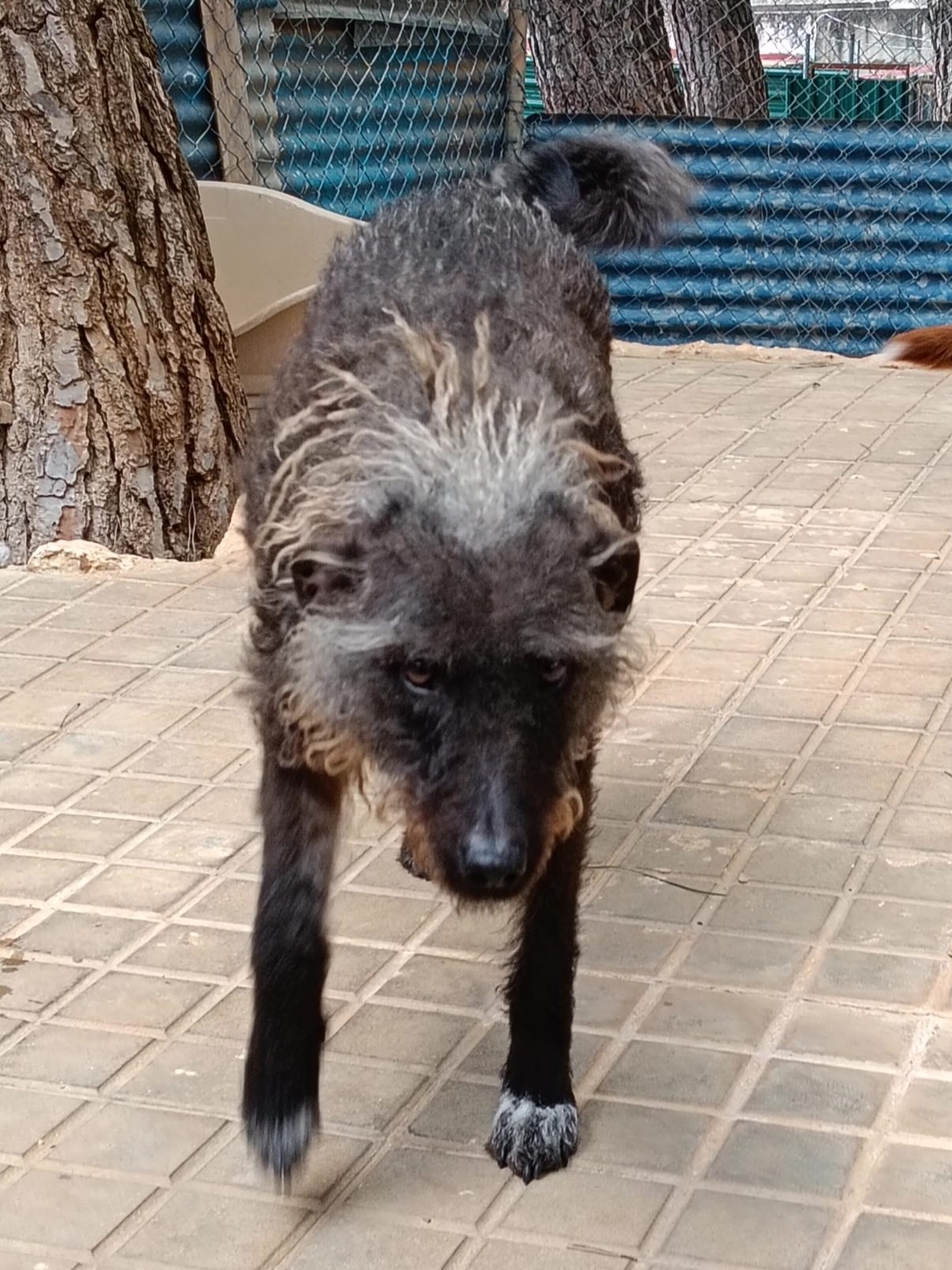 Miniatuur van Marcilla